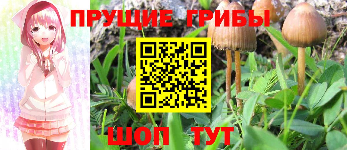 Галлюциногенные грибы GOLDEN TEACHER  Псилоцибиновые грибы Psilocybe  Вход с VPN  Рассказово 